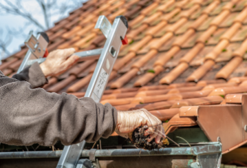 Standing at the top of a ladder clearing dead leaves out of a gutter.