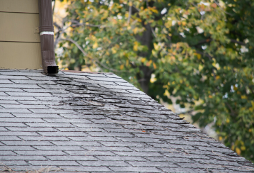 Damaged shingles on a roof