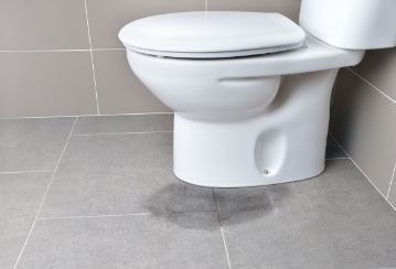 Une toilette qui fuit? Une petite fuite peut vous coûter plus de 100 000 $